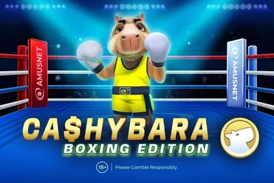 Capa de Cashybara Boxing Edition